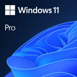 Microsoft Windows 11 Professionnel — licence complète — visuel fabricant ou vendeur
